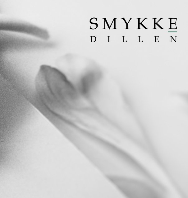 Smykkedillen case