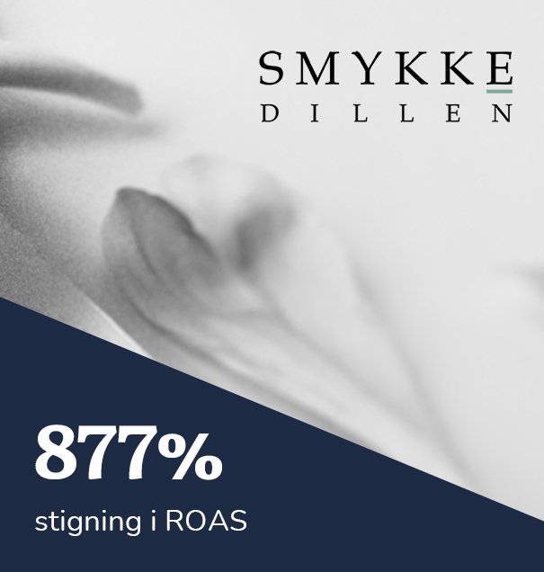 Smykkedillen case