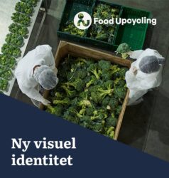 Food-Upcycling-Case-teaser
