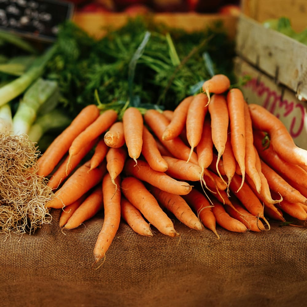 Food-upcycling-Billedstil